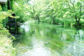 日本の豊かな水資源を守るため、私たちができること